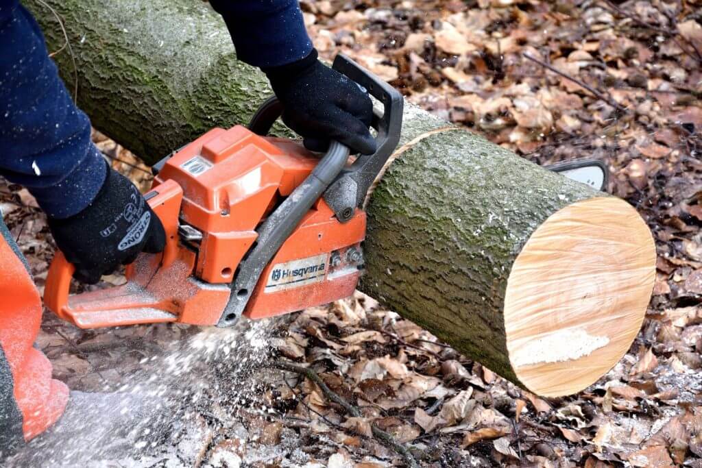 cutting tree logs using a powerful petrol chainsaw
